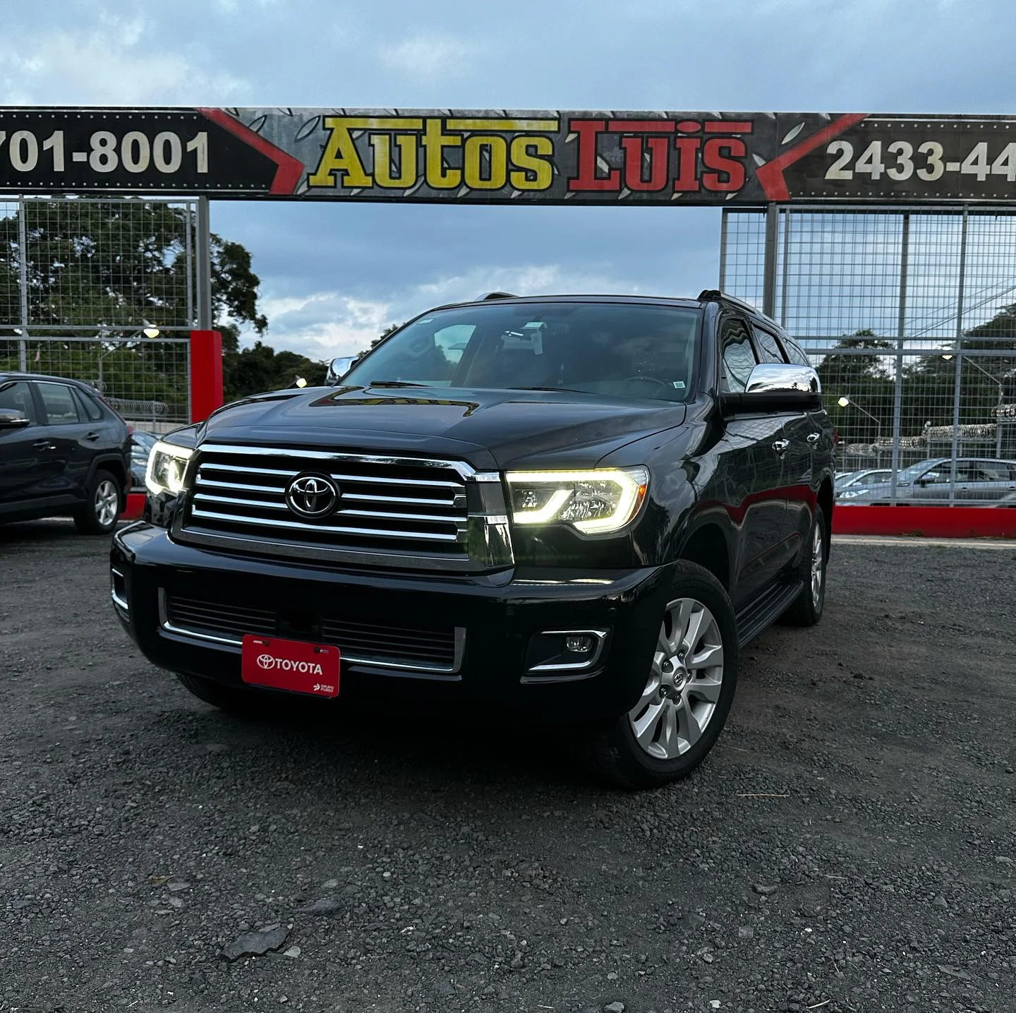 TOYOTA SEQUOIA PLATINUM 2019